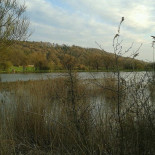 Fischerheim Neusitz