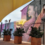 Casa Rosita