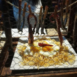 Zarcillo Gourmet