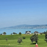 Feld