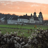 Klosterkirche Rheinau