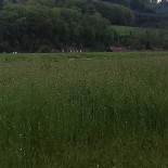 Farmersplace
