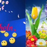 Mauritius Reutlingen