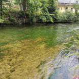 Zazalu Neuss