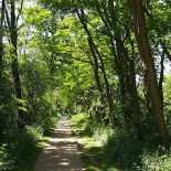 Seltenbach
