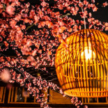 Michiko – Asian Dining Sushi Lounge