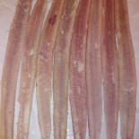 Joschis Fischbude