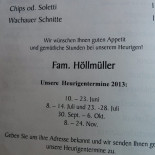 Weingut Höllmüller Flott Spitz