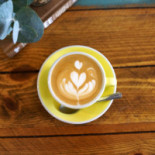 The Flower Cup