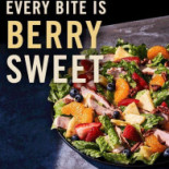 Panera Bread