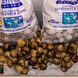 Chesapeake Crab Connection Co