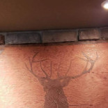 Jv's Pizza Mexican