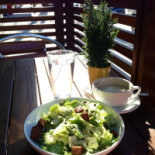 Real Food Daily