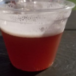 Mt. Lowe Brewing Co.