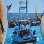 Umeke's Fish Market Grill