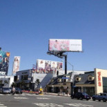 Sushiya On Sunset