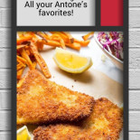 Antone's Kitchen (austintown)