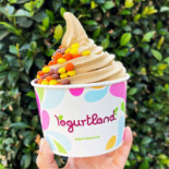 Yogurtland